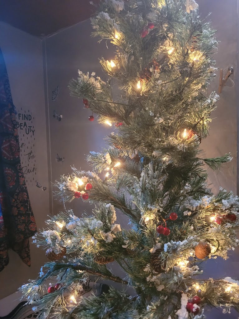 A Christmas Surprise